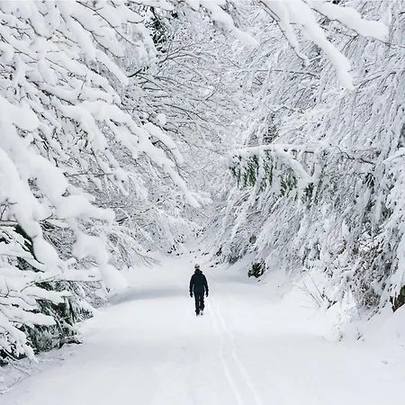 Lejlighed La Buhardilla De Menta By Bevalle *