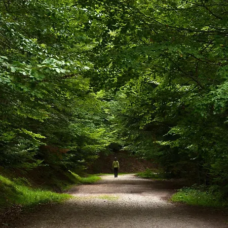 Διαμέρισμα La Buhardilla De Menta By Bevalle Escarrilla