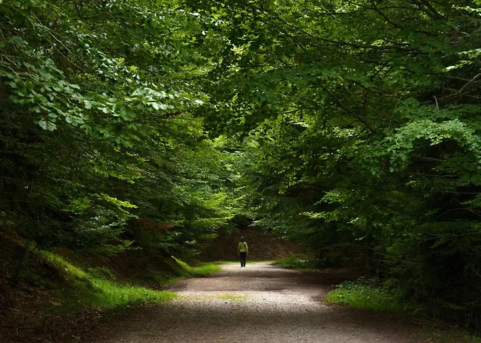 Διαμέρισμα La Buhardilla De Menta By Bevalle Escarrilla