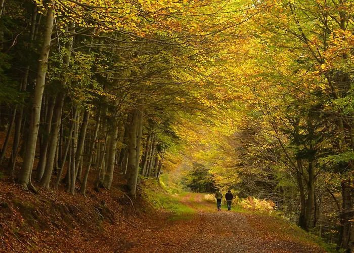 Διαμέρισμα La Buhardilla De Menta By Bevalle *